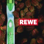 The image features a pregnancy test branded 'TerraTrust' by Zamed, prominently displayed against a vibrant backdrop of leaves with striking red veins, which sets a vivid contrast to the green of the test. The REWE logo is visible, highlighting the partnership between TerraTrust and REWE in offering eco-friendly healthcare options in Germany. This partnership signifies a major stride towards integrating sustainability into daily living, making eco-conscious choices more accessible through REWE Centers. TerraTrust exemplifies sustainable innovation, marrying quality and environmental responsibility. The availability of this eco-friendly pregnancy test at REWE is a call to action for consumers to participate in sustainable living, emphasizing each purchase as a step towards mitigating single-use plastic pollution and supporting a healthier planet. The article encourages readers to join the green mission, reinforcing the message that sustainable choices are not only possible but also desirable for a healthier future.